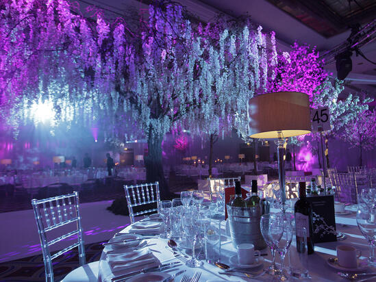 Ice Garden Gala Dinner